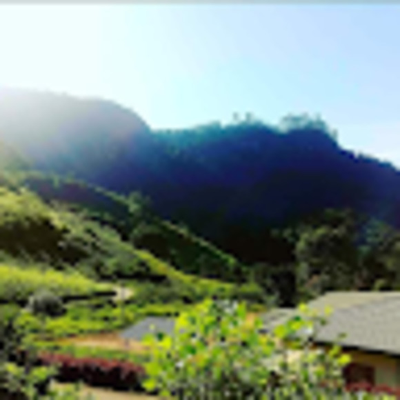 Meet your Posher, Rajeev - Picture 1 of 1